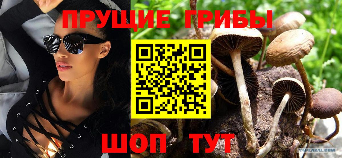 Псилоцибиновые грибы Cubensis  Вход с VPN  Псилоцибиновые грибы Magic Shrooms  Шебекино 