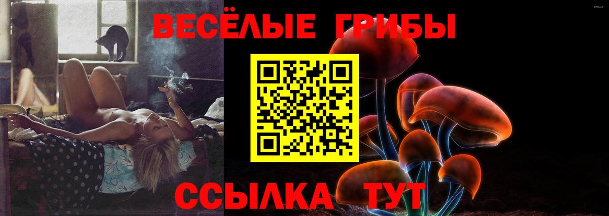 Псилоцибиновые грибы прущие грибы Шебекино